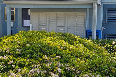 Oaks of Seminole | Mailboxes