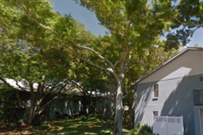 Oaks of Seminole | Building and Landscape